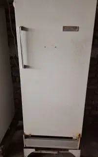 یخچال ارج ۹فوت