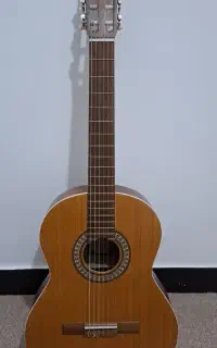 گیتار پارسی M5مناسب برای مبتدی ها ،