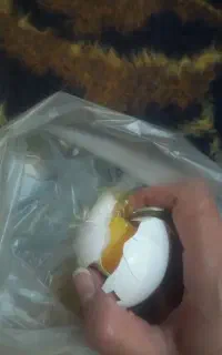 رفع نظر انجام میشود)سرکتاب انجام میشود