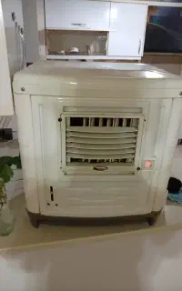 کولرابی
