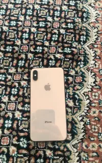 XS MAX 256