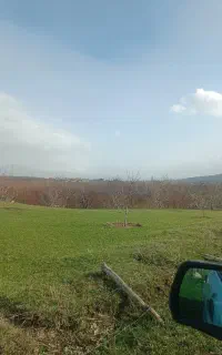 همراه طبیعت گردی