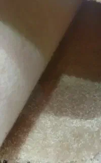 موکت پالاز