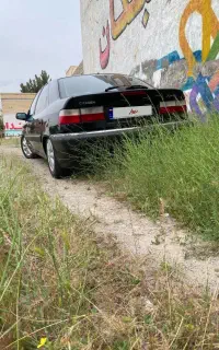 زانتیا مشکی بکر درحد فرانسوی