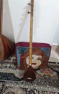 ستار حرفه ای و باغلاما