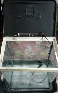 اکواریوم شیشه خم
