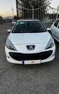 207 پانارینگ‌صفر خشک