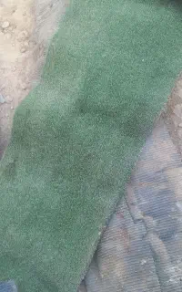 چمن سبز مسنوی