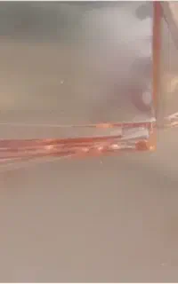 ورقه مسی