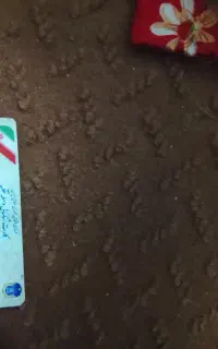 کارت ماشین گم شده سمند به اسم سید احسان عدالت جو