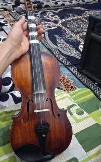 ویولن کلاس ریف