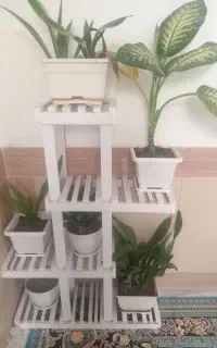 فروش استندهمراه گل ها
