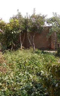 زمین مسکونی