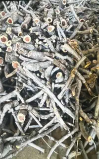 خرید چوب پسته وپوست پسته (کربن)