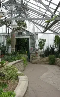 کارگرجهت گلخانه