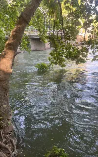 توریک روزه تنگ براق