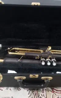 ترمپت شاتو تایوان