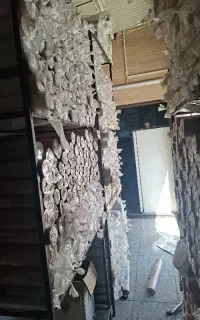 جشنواره تابستانی کاغذ دیواری باقیمت های باورنکردنی