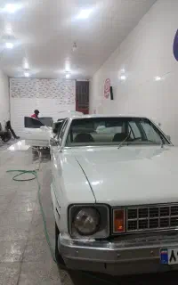 واکس و پولیش و دیتلینگ