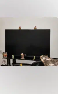 تلوزیون