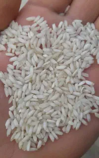 برنج عنبربو درجه 1