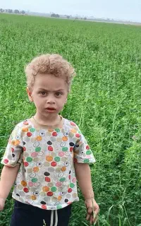 افزایش تناژ محصول