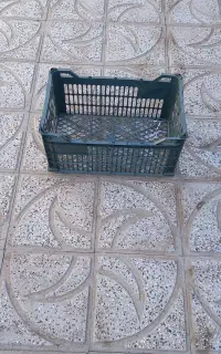 سبدانار گوجه