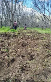 کار با تیلر شخم زنی۱۲