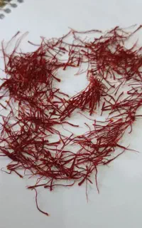 زعفران  ممتاز سرگل