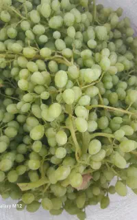 غوره