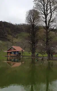به دو نفر باغبون در شهرستان رودبار نیازمندیم