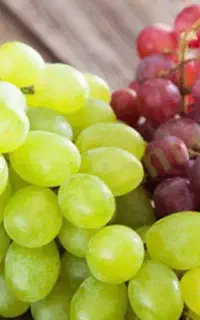 استخدام کارگر خانم جهت برداشت انگور و سبد زنی