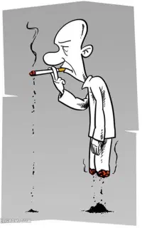 پاکی از مخدر