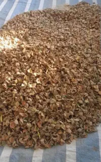 پوست بادام خشک شیلیف شده  حدودیکو نیم تن
