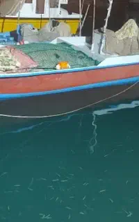 تشت ۳۰فوت