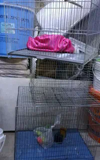 قفس