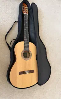 گیتار c40