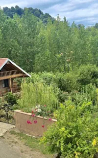اجاره کلبه جنگلی گیسوم(روستای توریستی پیرهرات)