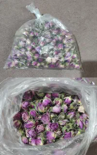 غنچه گل محمدی اعلا