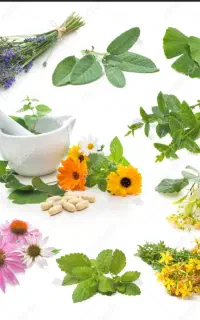 مینی پک های گیاهی برای کبد چرب و پاکسازی رحم