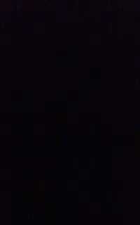 طالع بینی دقیق تنها ۷۹