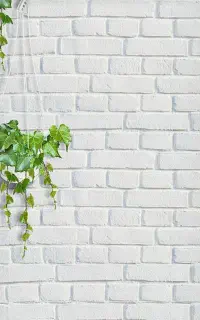فروش پرده بک گراند عکاسی