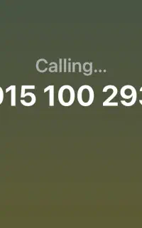 0915.100.2939