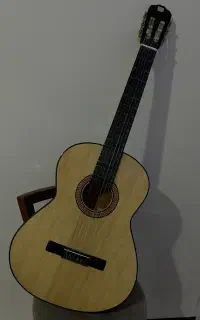 گیتار دیاموند الماس نشان نو