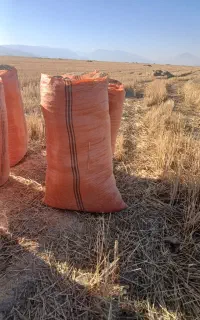 فروش وخرید کاه کوپه ای سرزمین