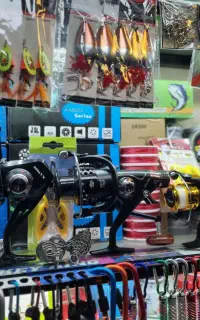 چوب و چرخ و ..‌..