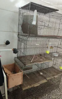 قفس بزرگ جوجه کشی و پران