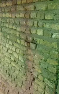 استاد بنا حرفه ای