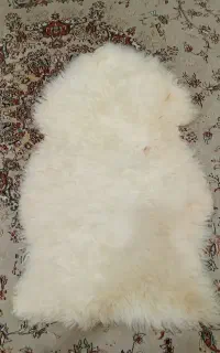 پوست بره نیوزیلندی