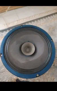 یک جفت مید  ۸اینچ در حد نو امپیلی خور